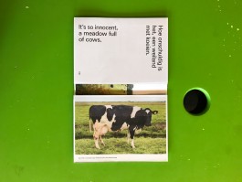 hansVDmeerHetMoetAnders